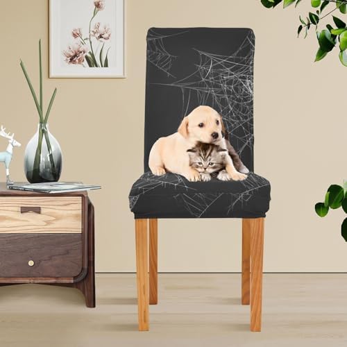 YETTASBIN Halloween Spider Web Chair Covers Set of 4