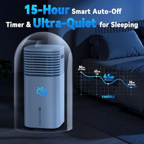 FANCOLE Windowless Portable AC with 4 Modes 3 Speeds