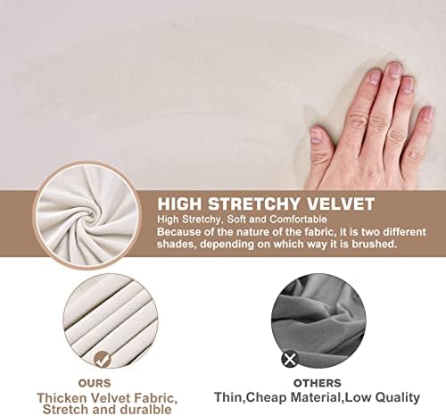 NeColorLife Velvet Chair Cover 2Pcs Set Beige