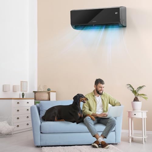 ROVSUN 12000 BTU Mini Split AC Unit with Smart APP Control