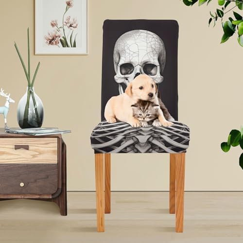 Halloween Skeleton Chair Covers Set of 2 for Dining Room and Kitchen